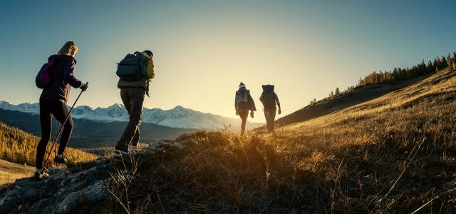 Group of Hikers Walks in Mountains at Sunset
